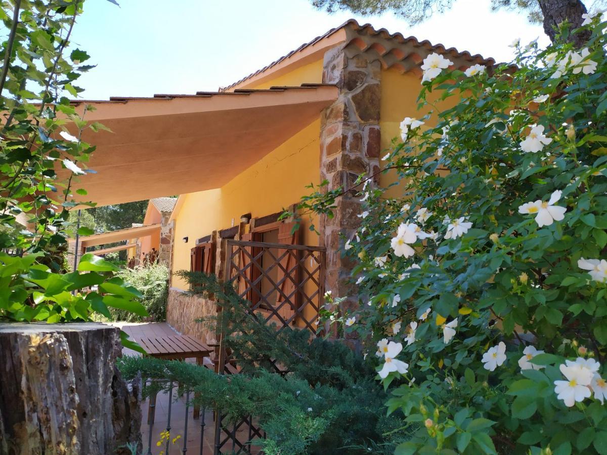 Rural Arco Iris - Mascotas Country house Cuenca (Castilla-La Mancha)
