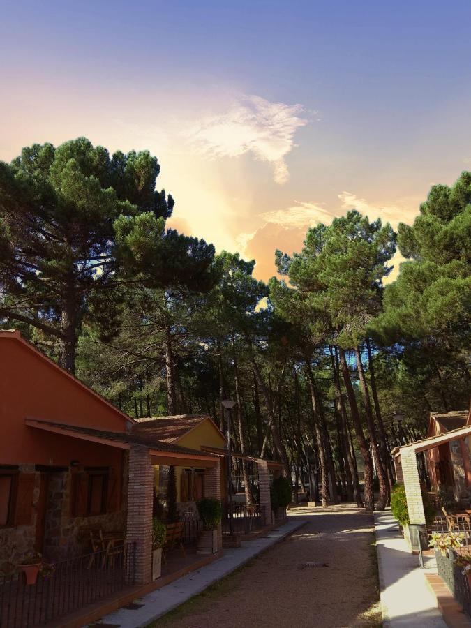 Rural Arco Iris - Mascotas Country house Cuenca (Castilla-La Mancha)
